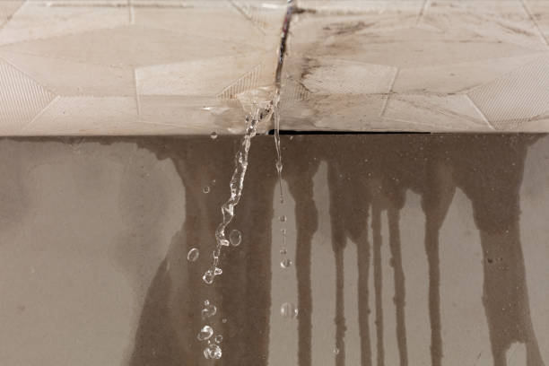 Professional Burst Pipe Cleanup technician working in Clarksville, TN